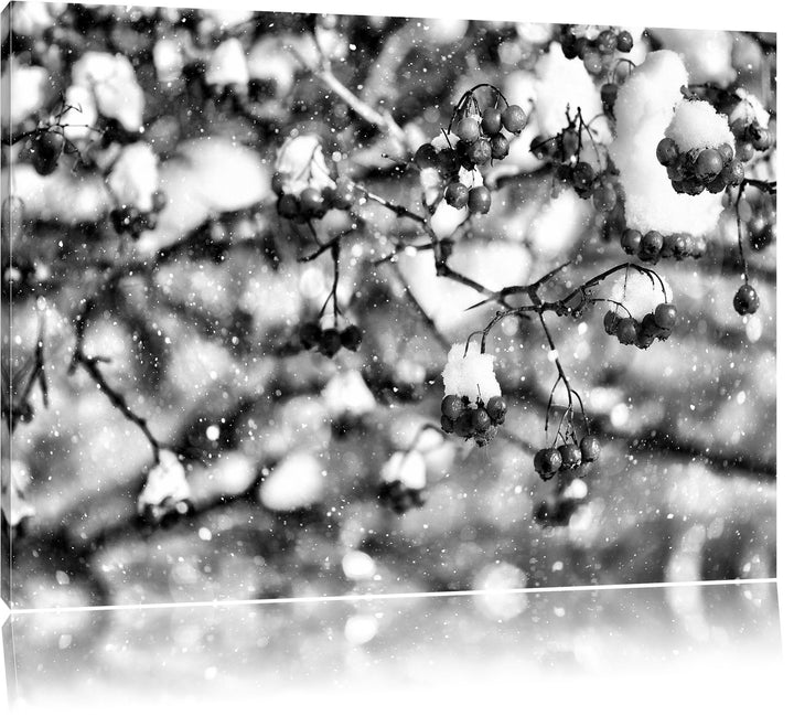 Pixxprint Vogelbeeren mit Schnee bedeckt als Leinwandbild/Grösse: 100x70 cm/Wandbild/Kunstdruck/fert
