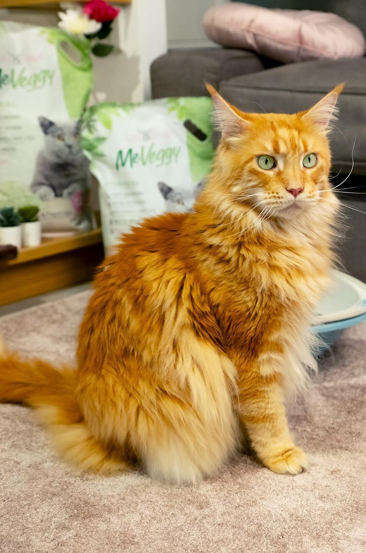 Cat&amp;rina MeVeggy Pflanzenstreu für Katzen, 15 l, langlebig, natürlicher und klumpender Sand, entsorg