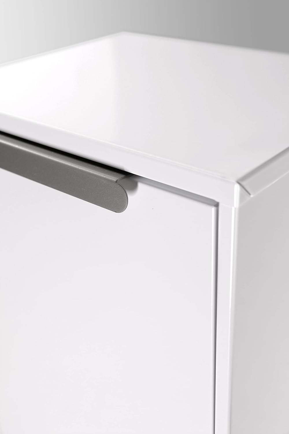 ARREGUI Ecoclas CR201-E Recycling Abfalleimer/Mülleimer aus Stahl, Mülltrennsystem mit 2 entnehmbare