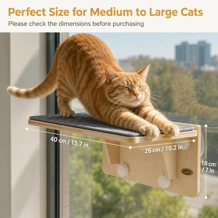Fensterliege für Katzen, Kletterwand Katzen 2-in-1 für Wand &amp; Glas, Katzenliege mit Waschbar Abnehmb