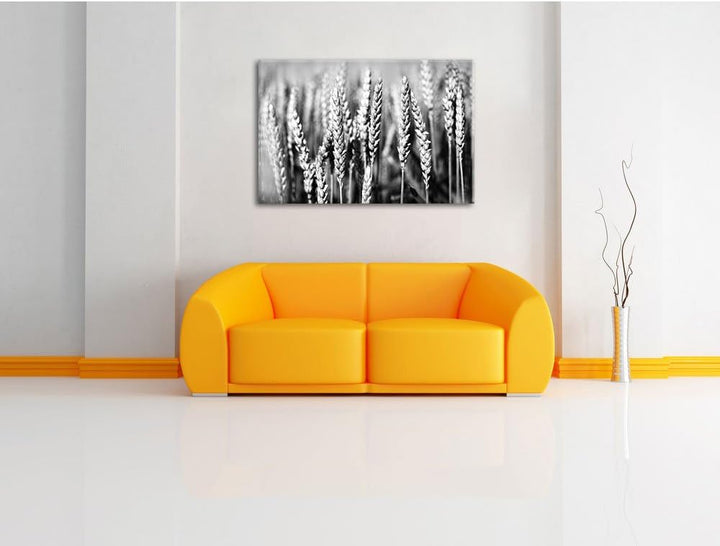 Pixxprint Weizen auf dem Feld / 100x70cm Leinwandbild bespannt auf Holzrahmen/Wandbild Kunstdruck De