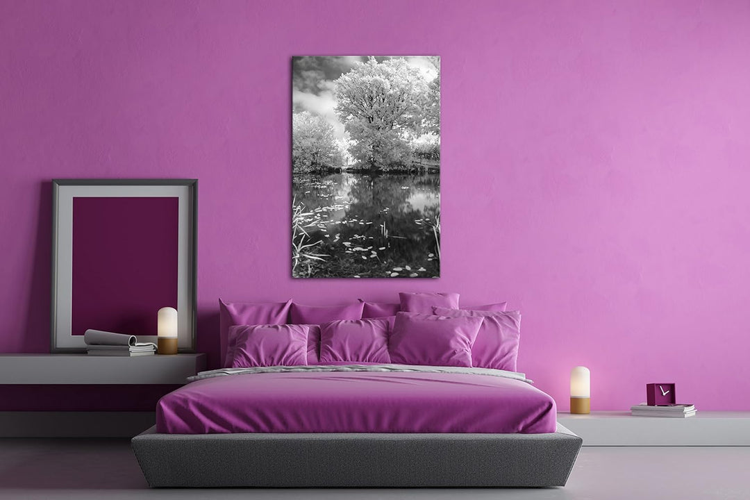 atemberaubender Baum in der Natur Effekt: Schwarz/Weiss im Format: 80x60 als Leinwandbild, Motiv fer
