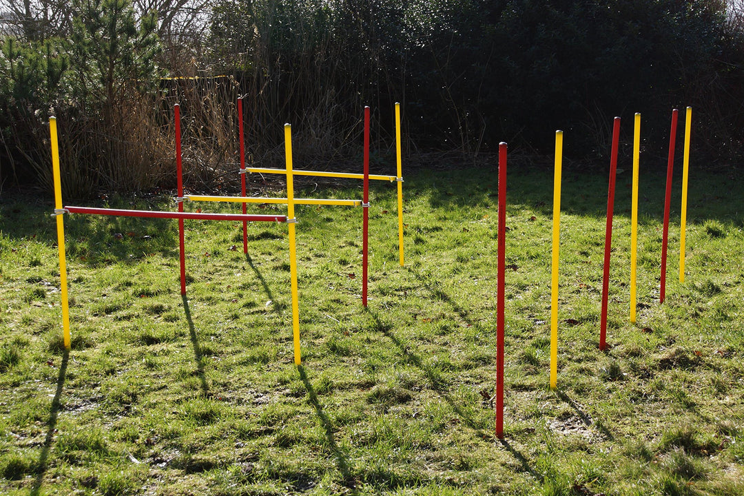 Agility-Set für Hunde - Rot/Gelb - Übungs-Hürden/Slalom-Stangen-Set - Ohne Werkzeug auf/abzubauen -