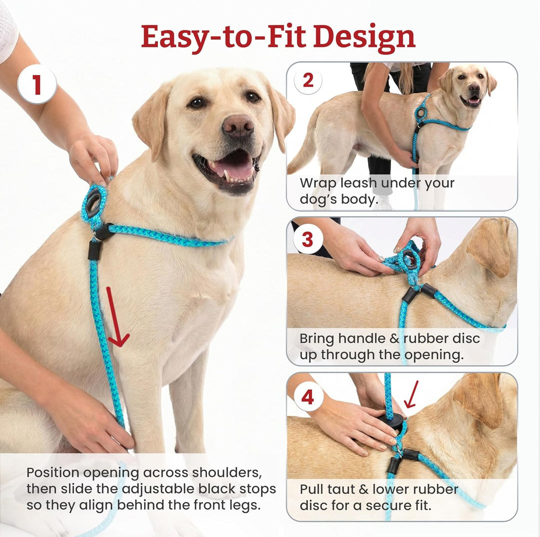 Harness Hundeleine mit Geschirr. Medium/Large 40-170 lbs rose, Medium/Large 40-170 lbs rose