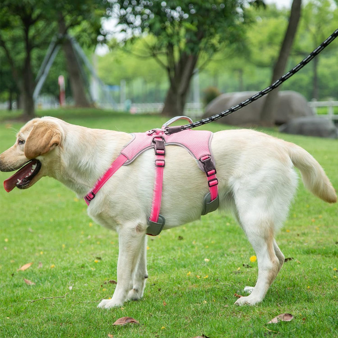 BELPRO Mehrzweck-Hundegeschirr, ausbruchsicher, kein Ziehen, reflektierend, verstellbare Weste mit s