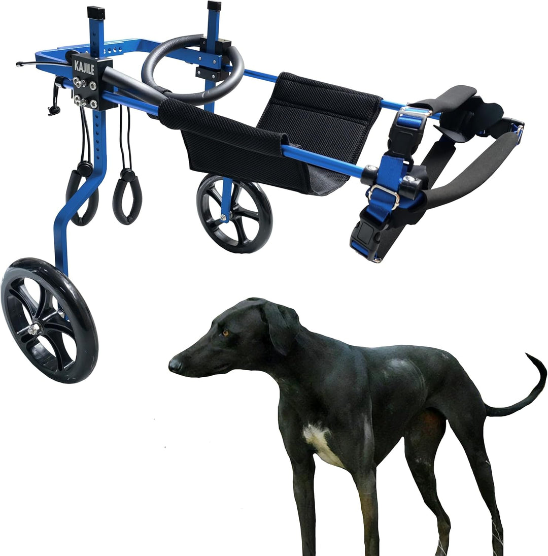 KAJILE Verstellbarer 2-Rad-Hunderollstuhl, XL-1 Grösse für behinderte Hund Hinterbeine Rehabilitatio