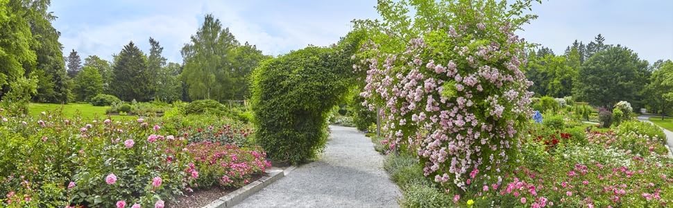 Gardebruk® 2X Rosensäule 200x40cm Metall Stabil Wetterfest Garten Rankgitter Rankhilfe Ranksäule Met