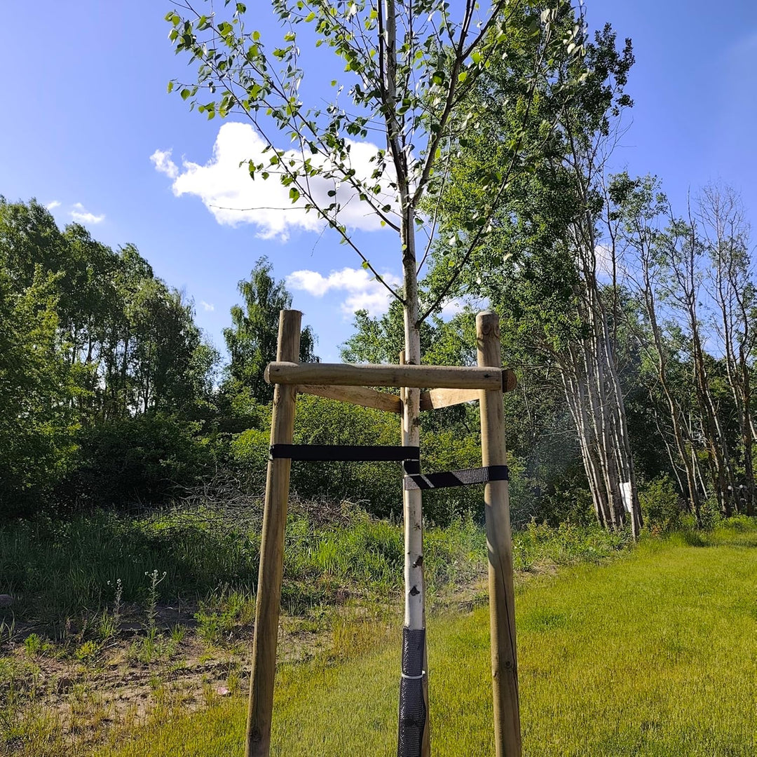 Baumstütze Komplettset Rankhilfe Baumpfahl ø 7cm Länge: 200 cm Pflanzenhalter 3 x Holzpfosten 3X Sch