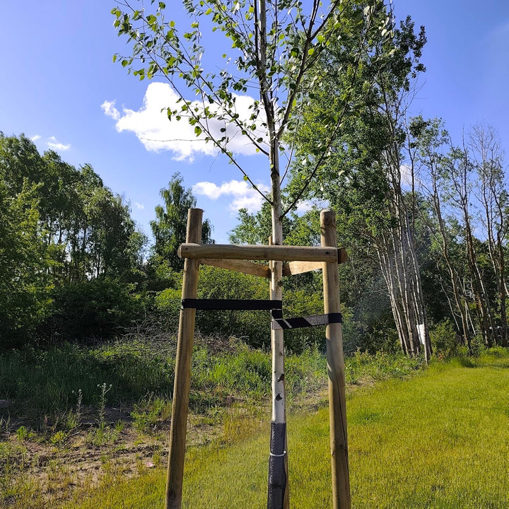 Baumstütze Komplettset Rankhilfe Baumpfahl ø 7cm Länge: 200 cm Pflanzenhalter 3 x Holzpfosten 3X Sch