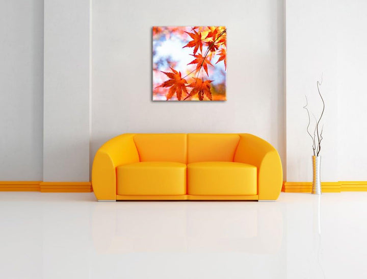 Roter Ahorn im Sonnenlicht, Format: 70x70 auf Leinwand, XXL riesige Bilder fertig gerahmt mit Keilra