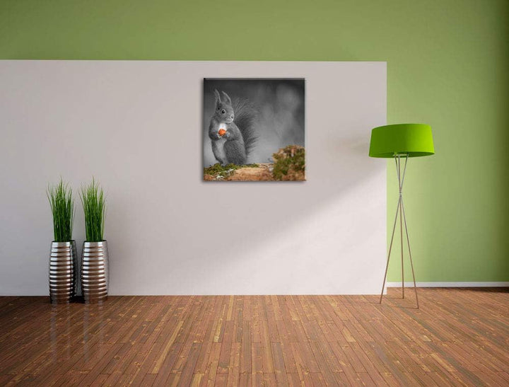 Pixxprint süsses Eichhörnchen mit Nuss als Leinwandbild/Grösse: 70x70 cm/Wandbild/Kunstdruck/fertig