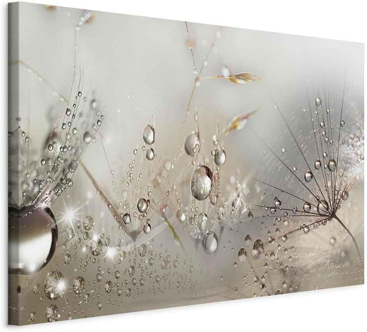 murando Akustikbild Pusteblume 120x80 cm Bilder Akustikschaum Hochleistungsschallabsorber Schallschu