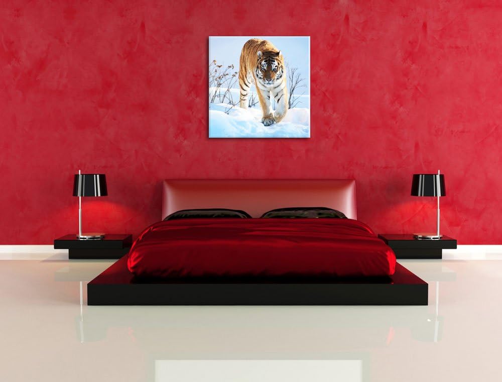 Stolzer Tiger im Schnee, Format: 70x70 auf Leinwand, XXL riesige Bilder fertig gerahmt mit Keilrahme