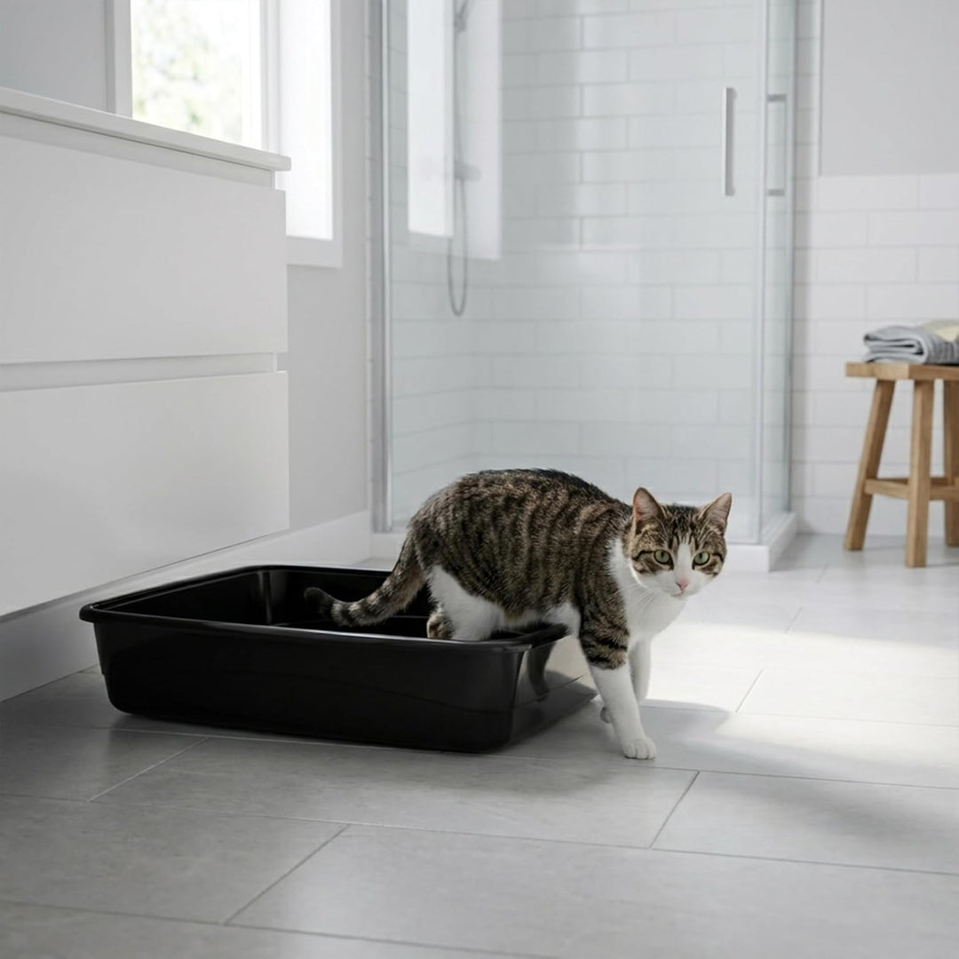 Ferplast Katzenklo, offene Katzentoilette mit hohen Rändern, 49,5 x 64,5 x H 14,5 cm, NIP 30 grosse