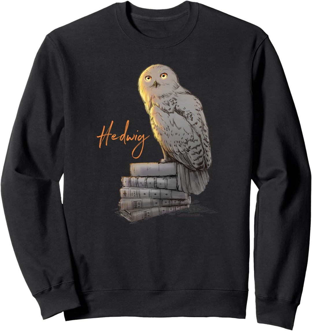 Harry Potter Hedwig Books Painted Sweatshirt