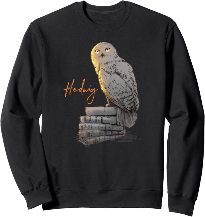Harry Potter Hedwig Books Painted Sweatshirt