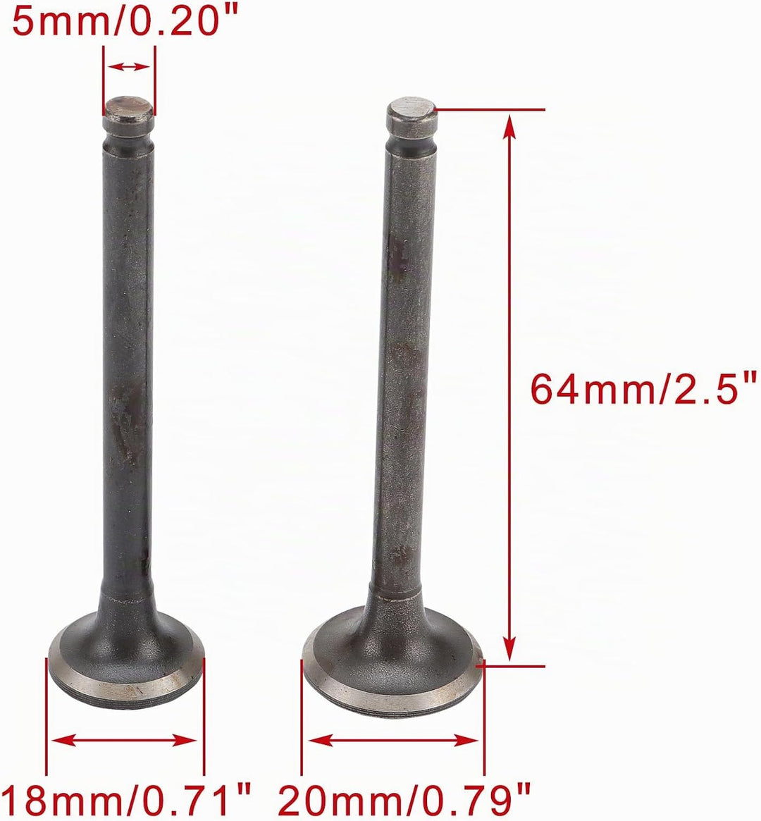 WOOSTAR Zylinderkopf 64mm Ventilbaugruppe Ersatz für GY6 50ccm 139QMB Motor Roketa Taotao Sunl Chine
