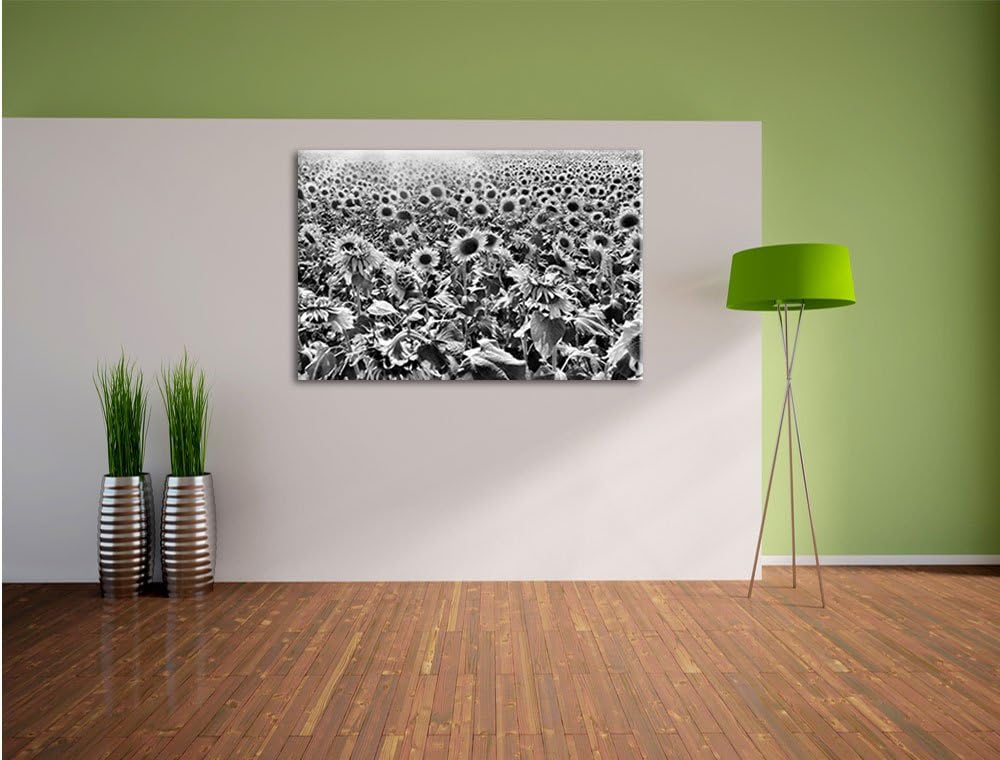Pixxprint Riesiges Sonnenblumenfeld als Leinwandbild/Grösse: 100x70 cm/Wandbild/Kunstdruck/fertig be