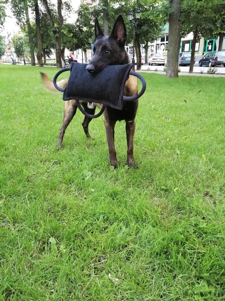 Dingo Gear Beisskissen Gestärkt aus Baumwolle-Nylon Ausbildung IGP IPO K9 Hundetraining S00522 Baumw
