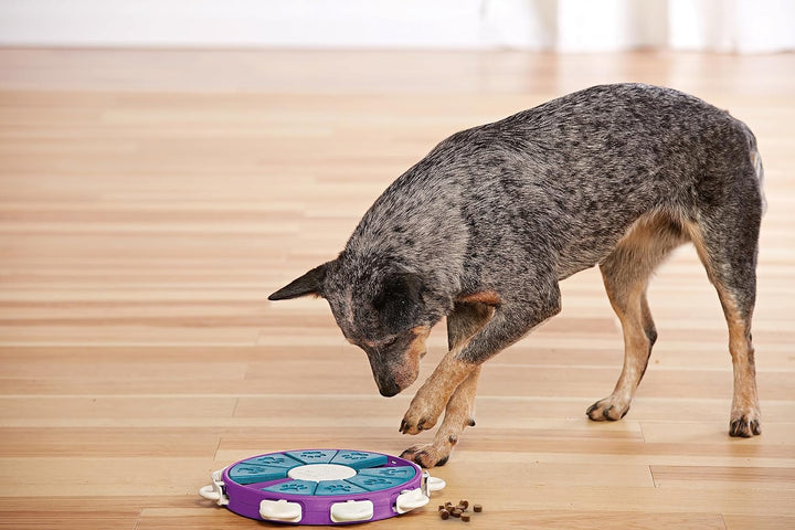 Outward Hound by Nina Ottosson Dog Twister Treat Puzzle Enrichment Toy, Level 3 Advanced, Purple, Do