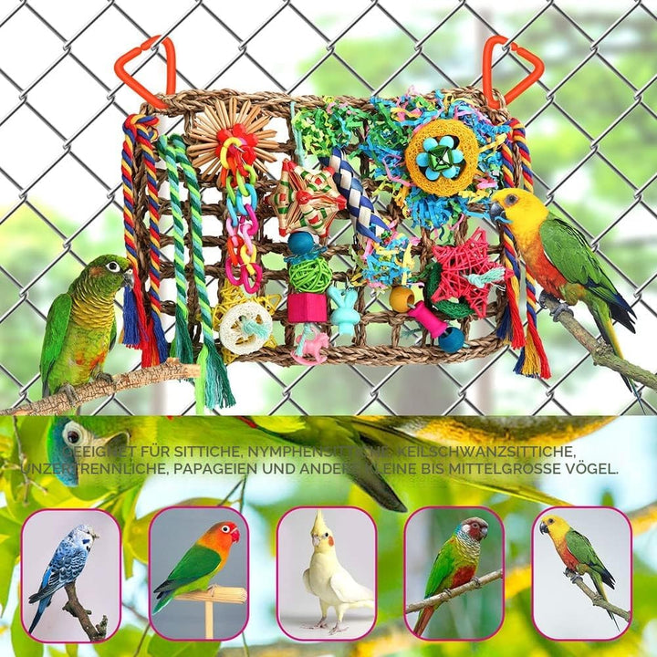 Vogelspielzeug und Vogelfutterspielzeug für Sittiche, Nymphensittiche