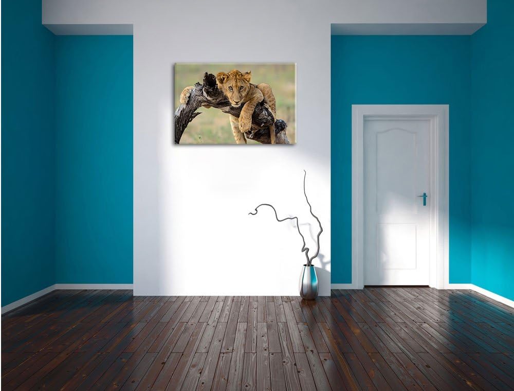Junger Löwe in der Natur, Format: 100x70 auf Leinwand, XXL riesige Bilder fertig gerahmt mit Keilrah