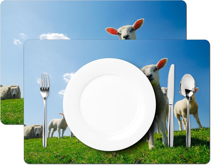 KitchenYeah© Platzsets Abwaschbar 6-Teilig 45x30 cm Tischsets Platzdeckchen Platzset Unterlage Tisch