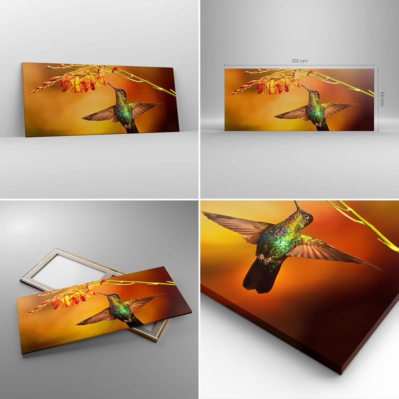 Wandbilder Dekoration Wohnzimmer Kolibri Vogel Sommer Panorama Bilder auf Leinwand 120x50cm Leinwand