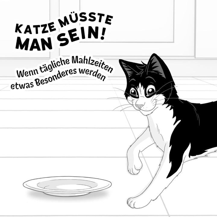 FELIX So gut wie es aussieht Senior Katzenfutter nass in Gelee, Sorten-Mix, 120er Pack (120 x 85g) S