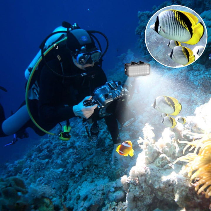 Suptig Licht Tauchen Licht High Power Dimmbare wasserdichte LED Video Licht Füllen Nachtlicht Tauche