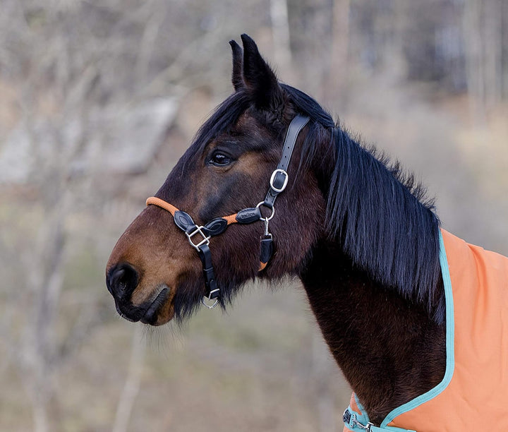 indira Seil-Leder-Halfter pro Flex PP-Strick-Echtleder (Pony, Orange 01) Pony Orange 01, Pony Orange