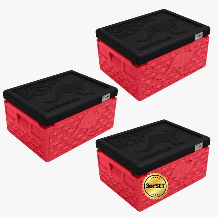 Mini Thermobox kalt & warm 1,5L – Ideal als Lunchbox oder Brotdose - Ultraleicht & perfekt schliesse