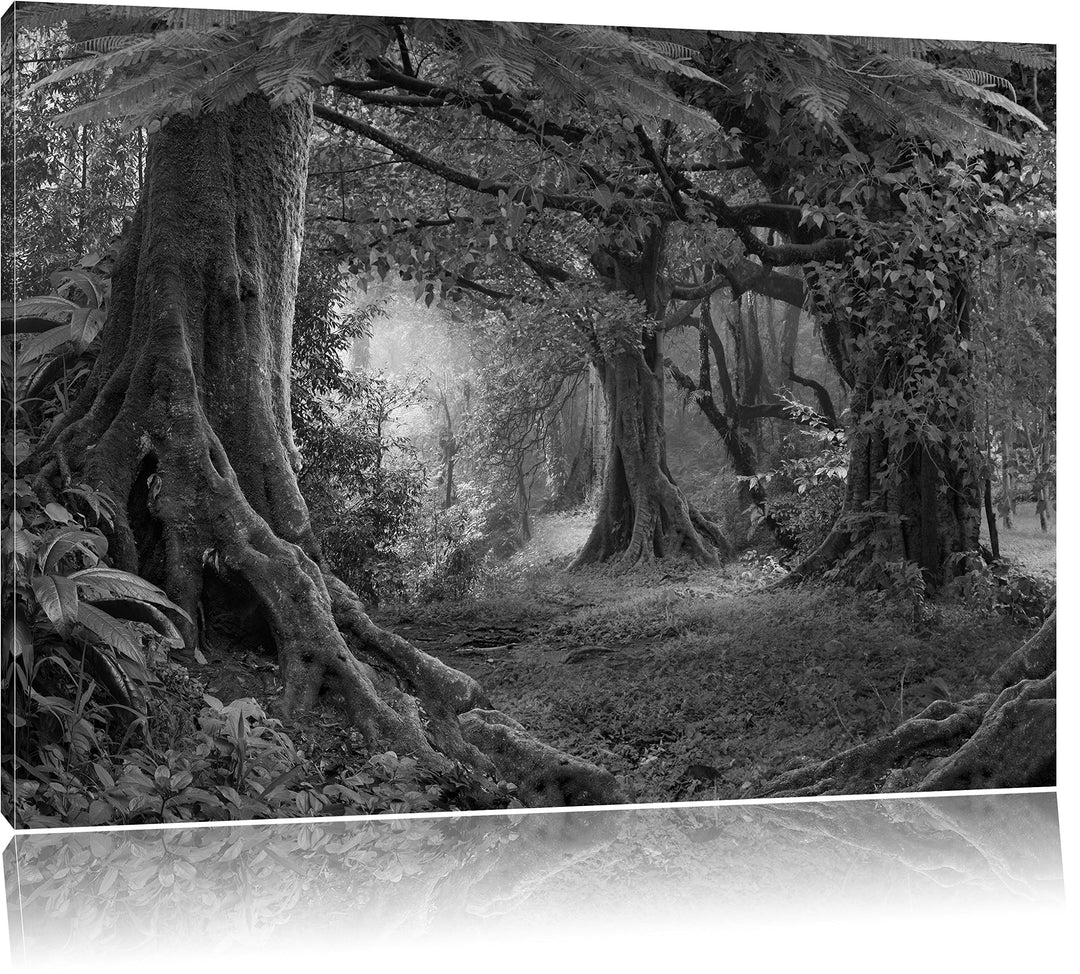 Pixxprint Dschungel im tropischen Regenwald Kunst B&W, Grösse: 120x80cm, Leinwandbild, fertig gespan