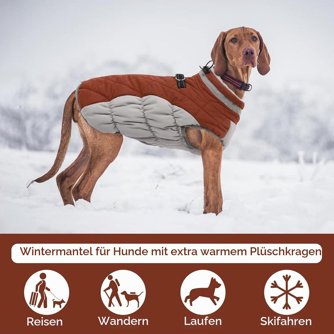 Kuoser Hundejacke Für Grosse Hunde - Wasserdichter Wintermantel Mit Geschirr, Warme Winterweste, Hun