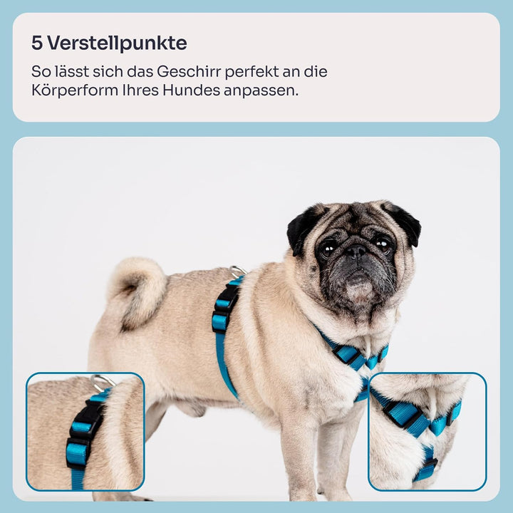 Chaba Guard Hundegeschirr für kleine Hunde mit Kontrolle, Anti-Zug &amp; Würgen, Einstellbar, Bequem und