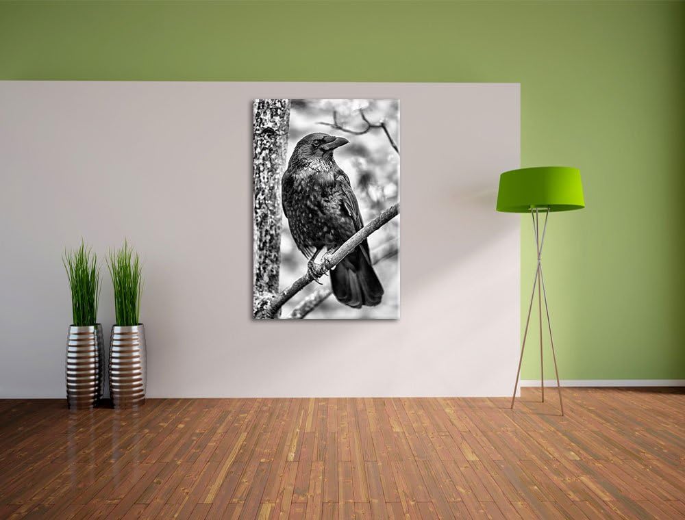 Pixxprint schwarzer Rabe auf AST / 100x70cm Leinwandbild bespannt auf Holzrahmen/Wandbild Kunstdruck