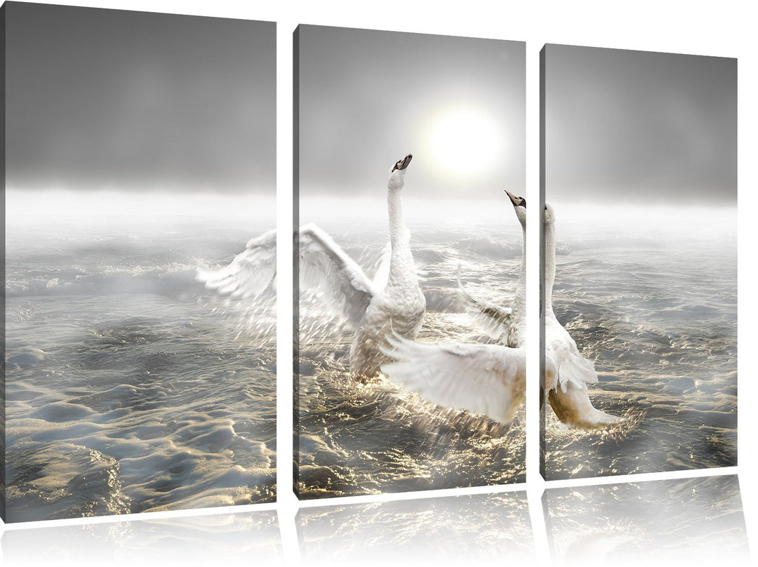 Pixxprint Schwäne im Meer als Leinwandbild/Grösse: 3 Teilig (120x80) cm/Wandbild/Kunstdruck/fertig b