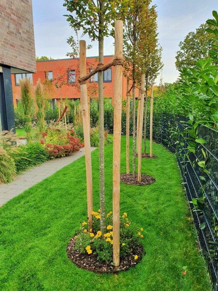 Rasenkanten Baumring Corten Kreis Ø 75 cm x 17,5 cm Edelrost - 3er Set