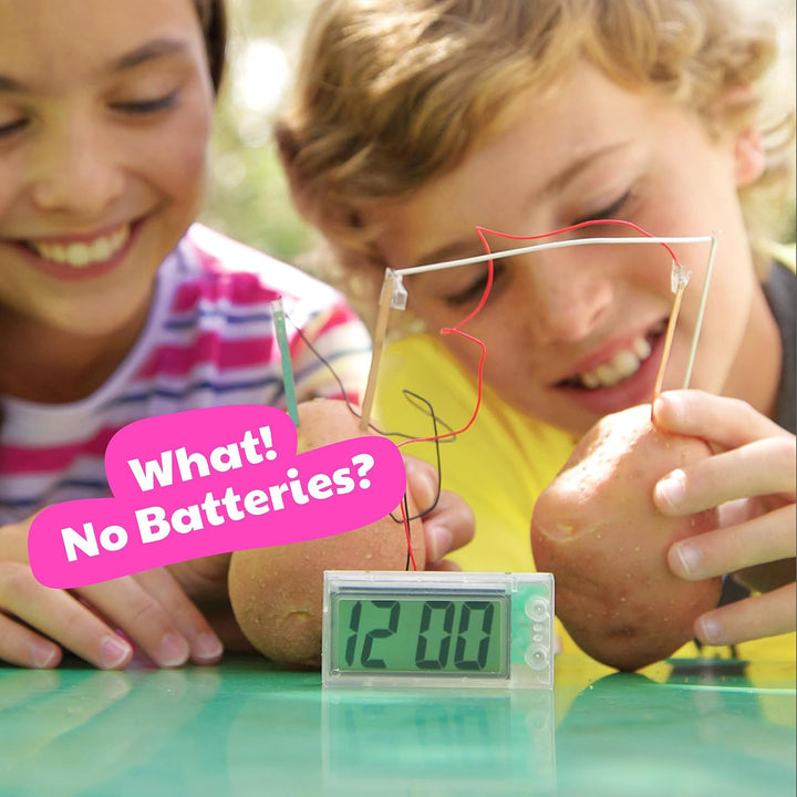 4M Green Science Potato Clock, Potato Clock