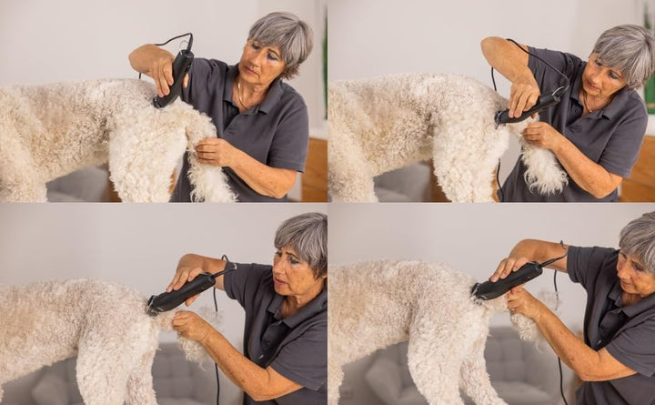 Rotschopf24 Edition: Profi Tierschermaschine mit Schneidsatz aus Metall. Stark + leise. Für fast all