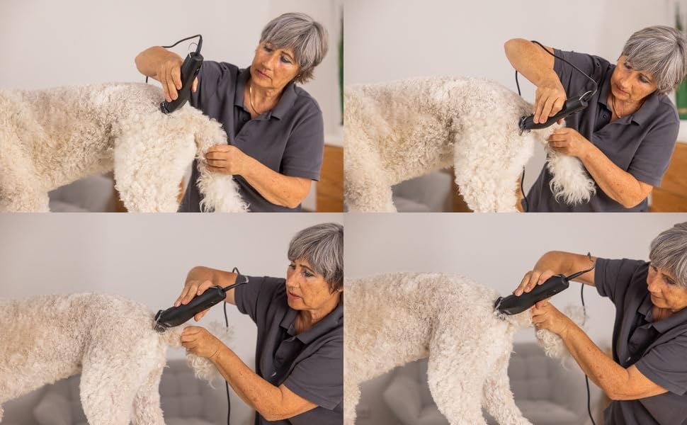 Rotschopf24 Max 50+ Profi Hundeschermaschine. Leise Tierhaarschneidemaschine mit Power-Motor & Profi