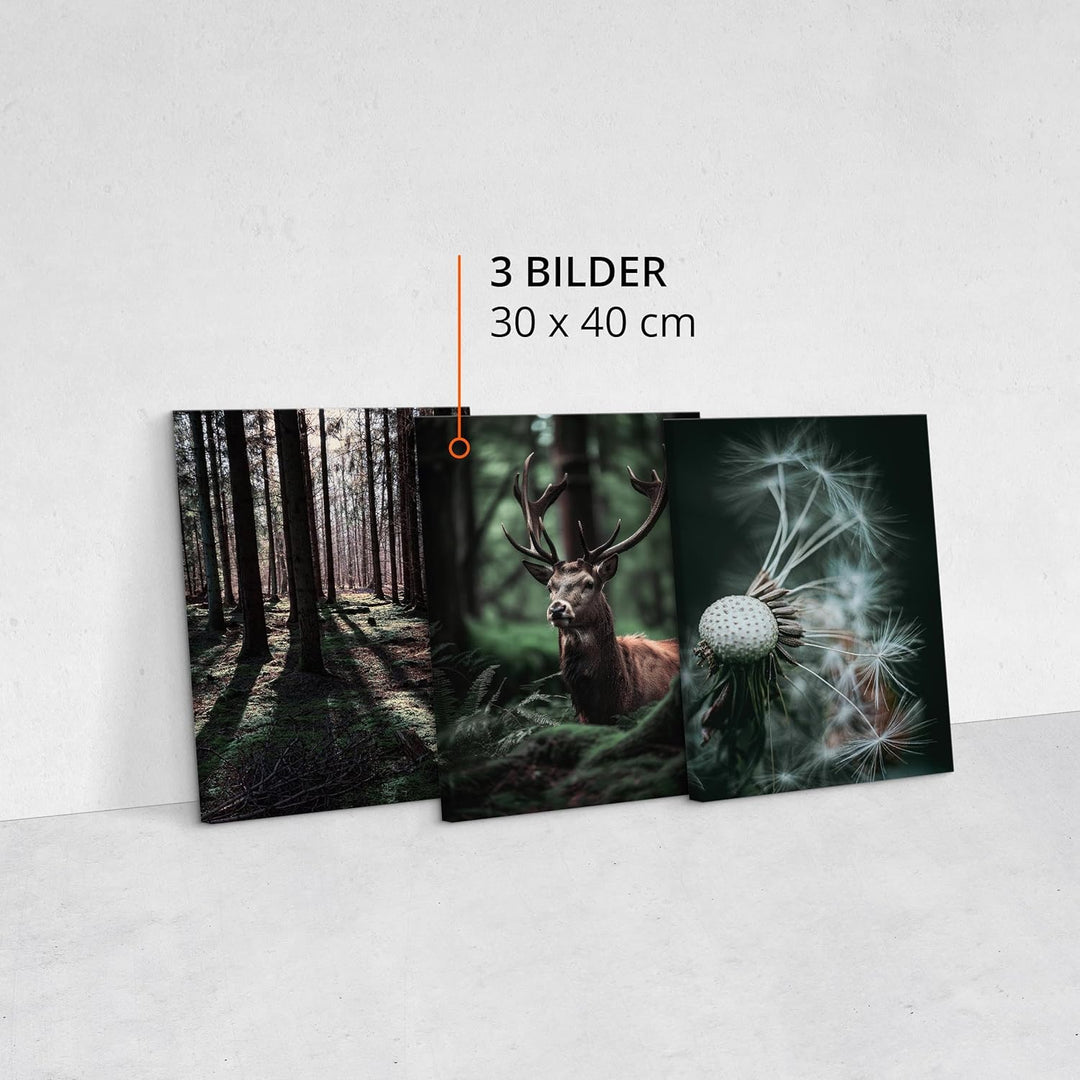 Muralo - Wandbilder Set - Leinwand Bilder Set Aufhängefertig - Bilder für Wohnzimmer Schlafzimmer -