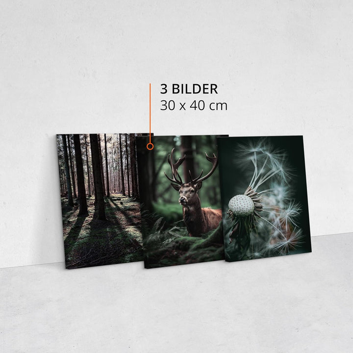 Muralo - Wandbilder Set - Leinwand Bilder Set Aufhängefertig - Bilder für Wohnzimmer Schlafzimmer -