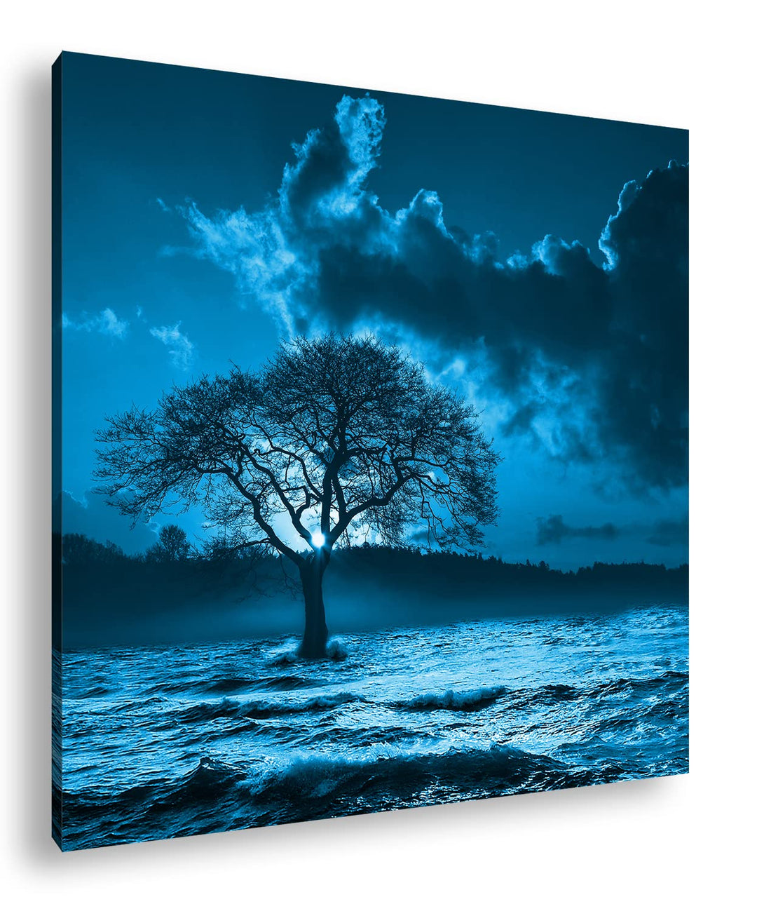 deyoli einsamer Baum im Meer Format: 60x60 Effekt: Monocrome Blau als Leinwandbild, Motiv fertig ger