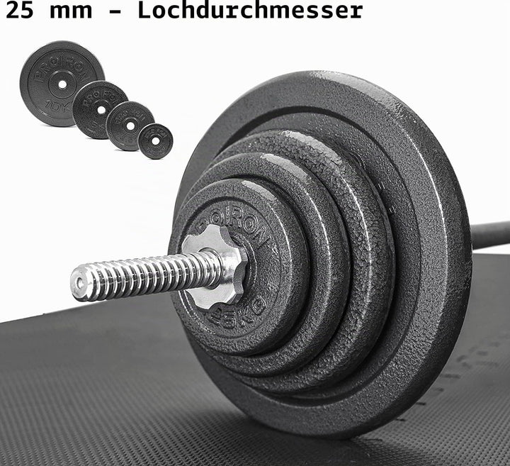 PROIRON Hantelscheiben Set Gusseisen mit 25mm Bohrung, 1,25kg/2,5kg/5kg/10kg Guss Scheiben Gewichte