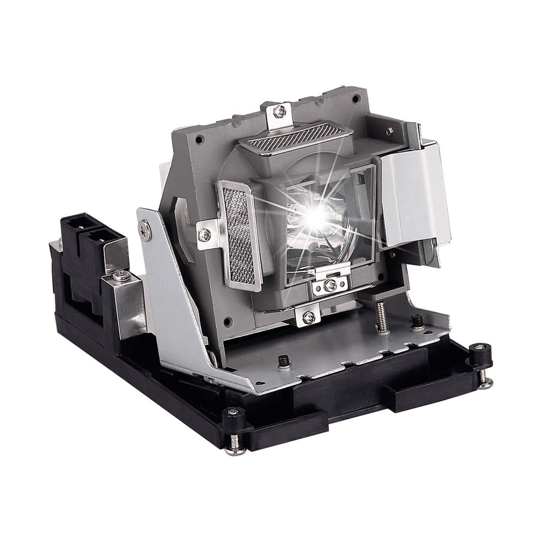 Visdia BL-FU310B/5811118436-SVV Projektorlampe mit Gehäuse für OPTOMA EH500 X600 BR561 VIVITEK D966H