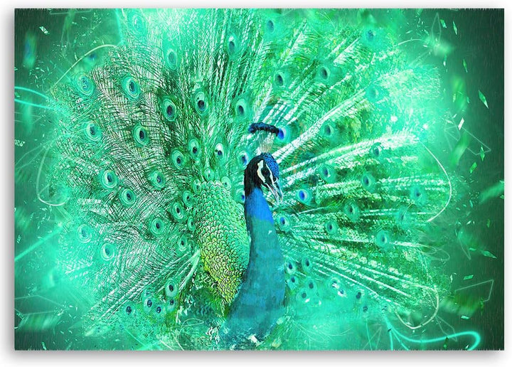 Feeby Wandbild Pfau Druckbild Leinwandbild abstrakt Grün 70x50 cm M14232 70x50 cm, M14232 70x50 cm