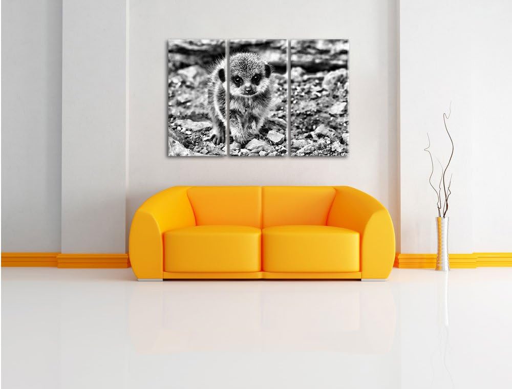 Pixxprint Erdmännchen zwischen Steinen als Leinwandbild/Grösse: 3 Teilig (120x80 cm) cm/Wandbild/Kun
