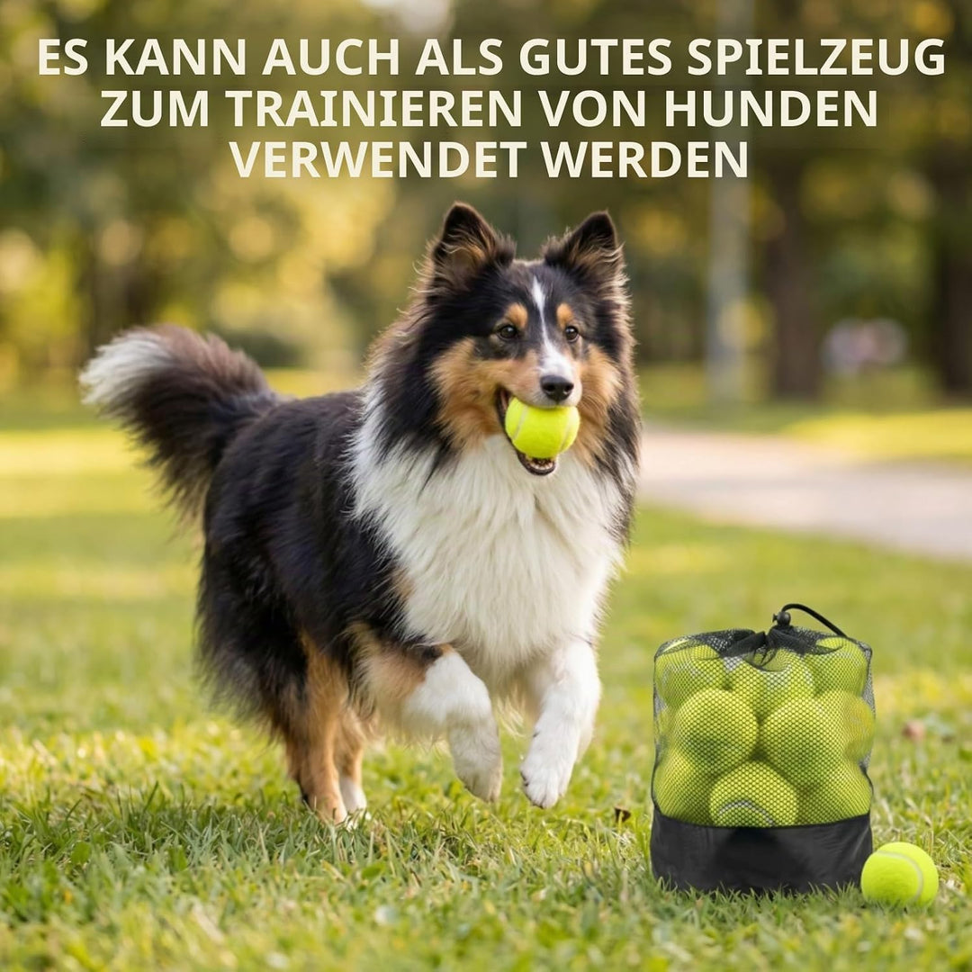Tebery 20 Stück Tennisbälle mit Mesh-Tragetasche, Tennis Training Übungsbälle Hundespielzeug Spielbä