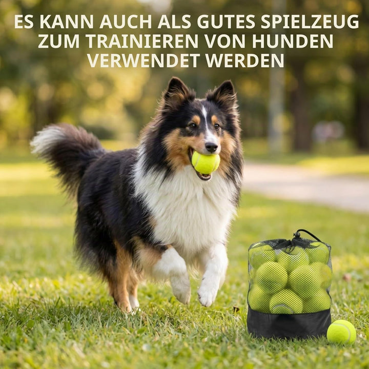 Tebery 20 Stück Tennisbälle mit Mesh-Tragetasche, Tennis Training Übungsbälle Hundespielzeug Spielbä